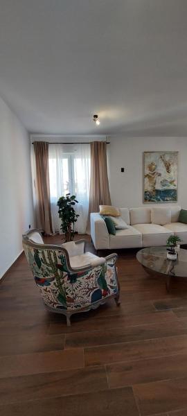 Njegoseva Central Apartment